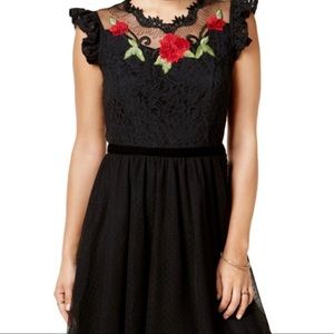 Brand new Disney Adult dress Snow White or beauty and the beast.